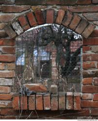 Derelict Windows